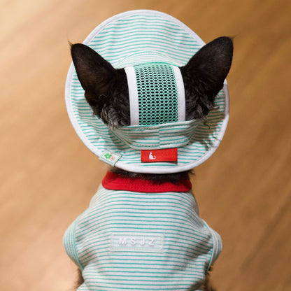 Mint Stripe Tee + Hat DevonRex Sphynx Cat Clothes