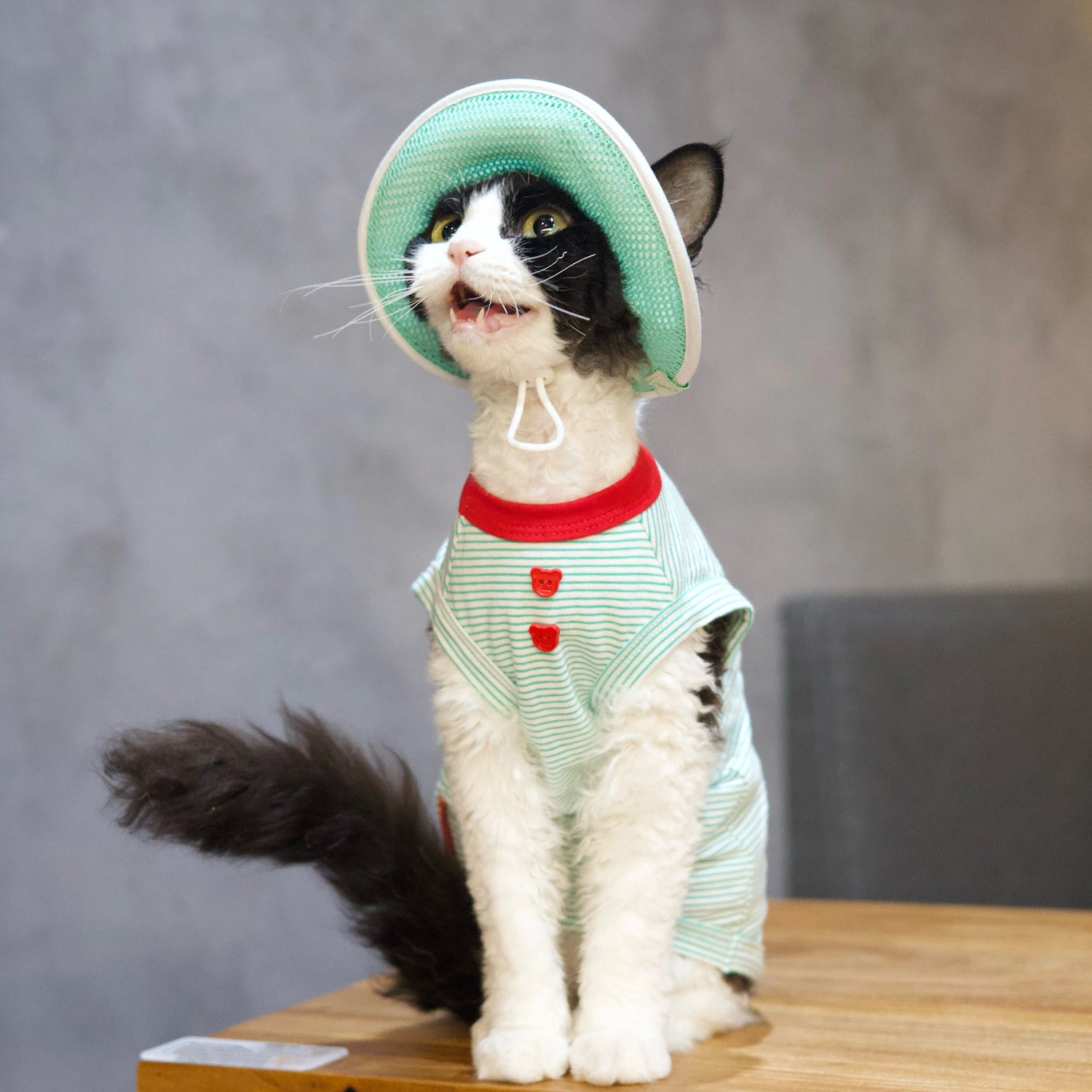 Mint Stripe Tee + Hat DevonRex Sphynx Cat Clothes