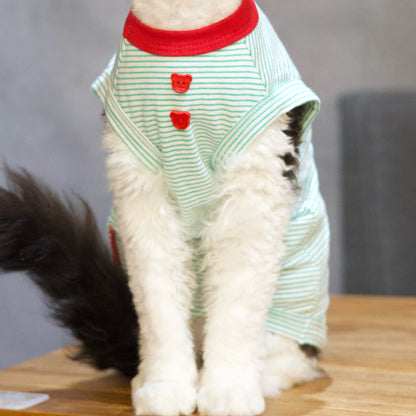 Mint Stripe Tee + Hat DevonRex Sphynx Cat Clothes