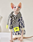 Sphynx cat in mohair sweater with checkered scarf accessory