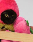 Peach Hat for Cat and Dog
