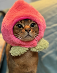 Peach Hat for Cat and Dog