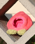 Peach Hat for Cat and Dog