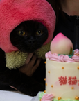 Peach Hat for Cat and Dog