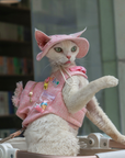 Pink Denim Backpack & Hat