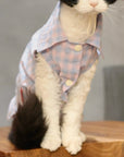 Devon Rex cat wearing pink plaid button-front shirt, front view