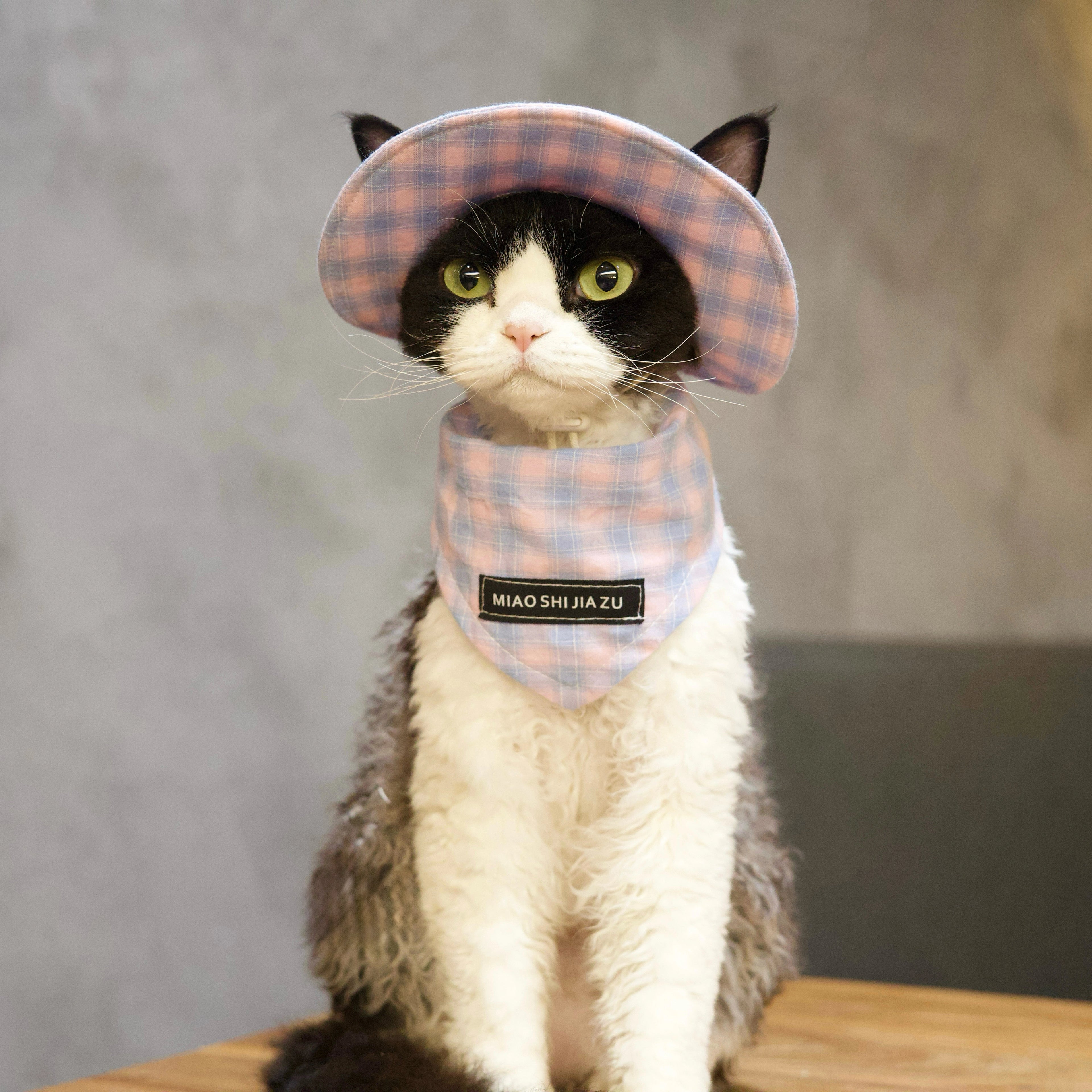 Pink Plaid Tank &amp; Hat+Bandana – Devon/Sphynx Cat Clothes