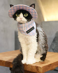 Devon Rex cat wearing pink plaid bucket hat, shirt, and bandana set