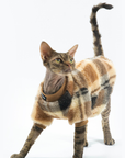 Plaid Reversible Soft Fleece Vest for Cats