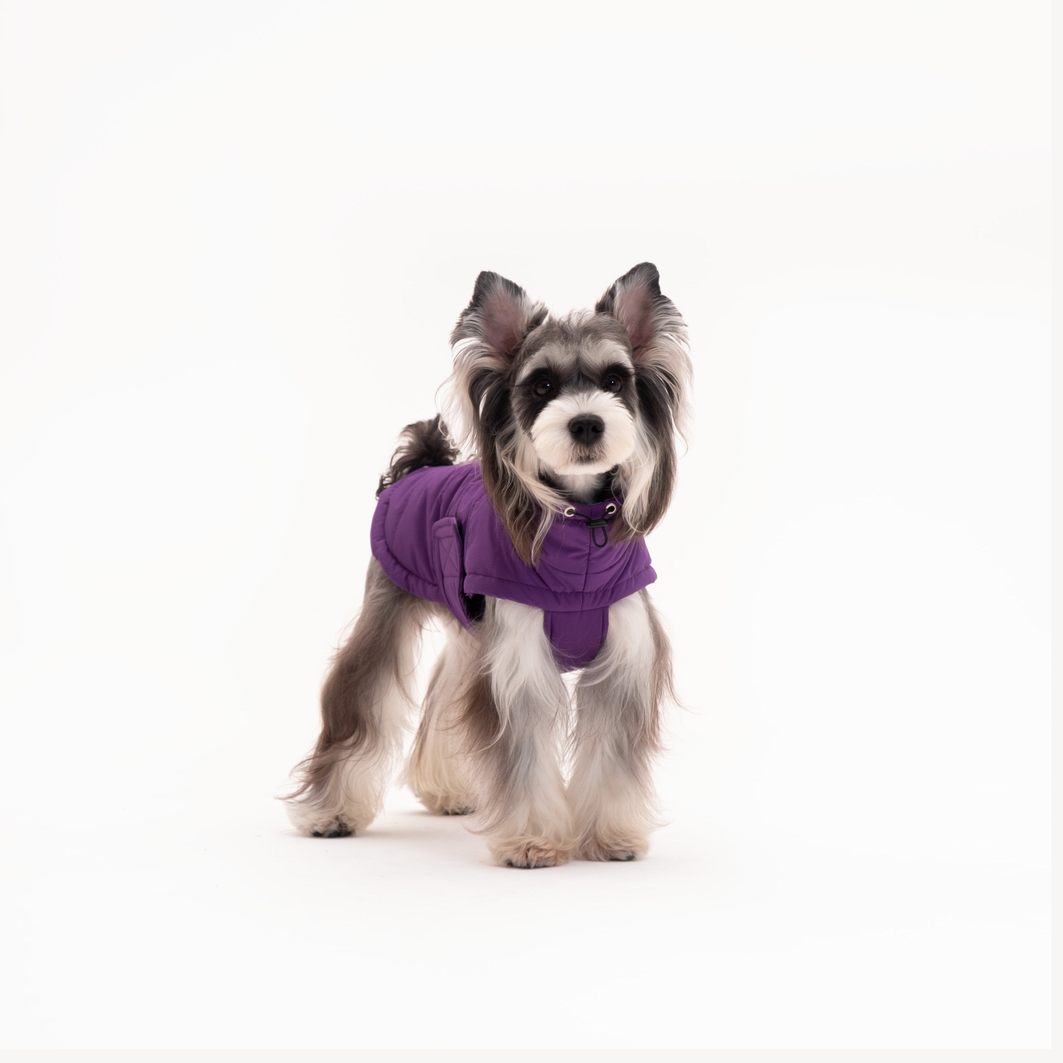 Puffer Turtleneck Vest Dog Cat Clothes Water-Resistant Anti-Static Winter Jacket