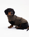 Small Dog Puffer Vest – Anti-Static Water-Resistant Turtleneck Jacket