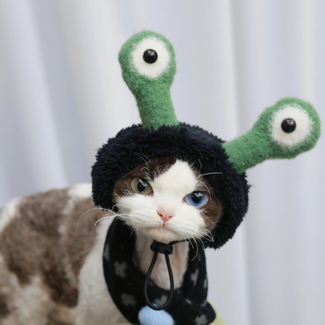 Quirky Frog Hat for Cat and Dog