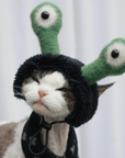 Quirky Frog Hat for Cat and Dog