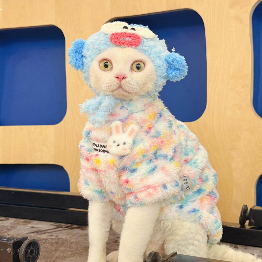 Rainbow Bunny Fleece Onesies SphynxCat DevonRex Clothes