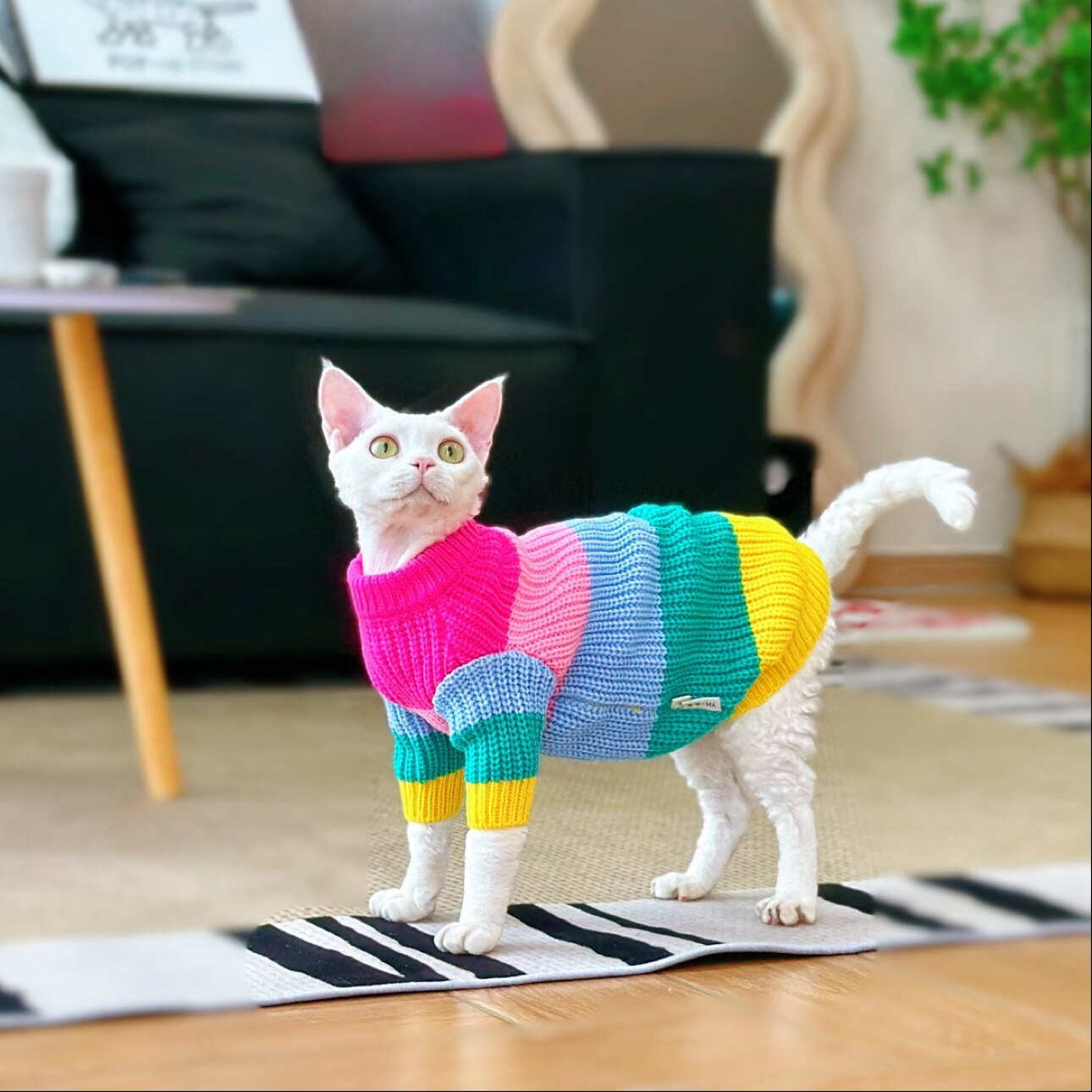 Rainbow Knit Sweater Sphynx Cat Clothes