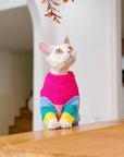 Sphynx Cat Rainbow Knit Sweater – Warm Pullover for Hairless Cats
