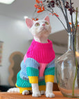 Sphynx Cat Rainbow Knit Sweater – Warm Pullover for Hairless Cats