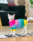 Sphynx Cat Rainbow Knit Sweater – Warm Pullover for Hairless Cats