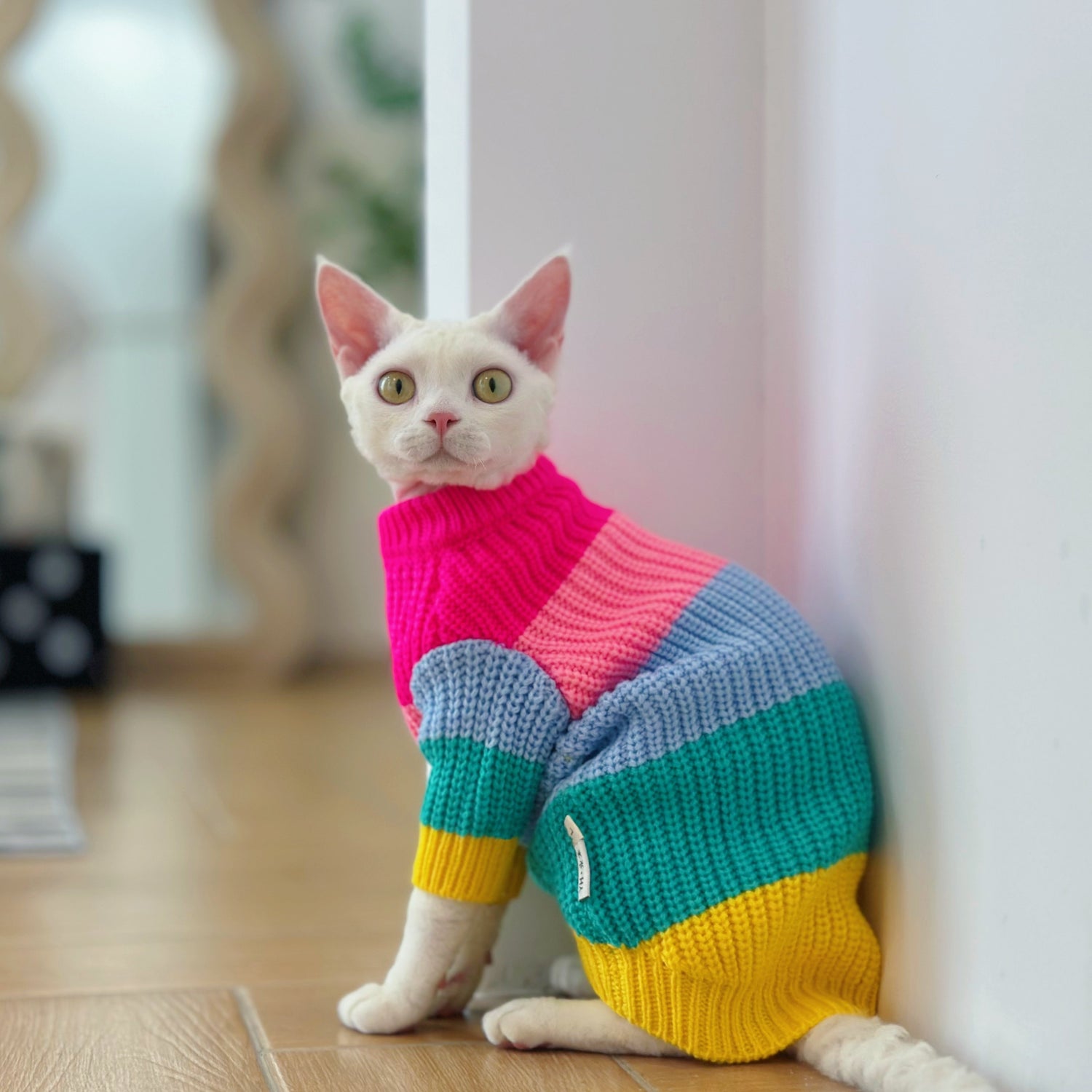 Rainbow Knit Sweater Sphynx Cat Clothes