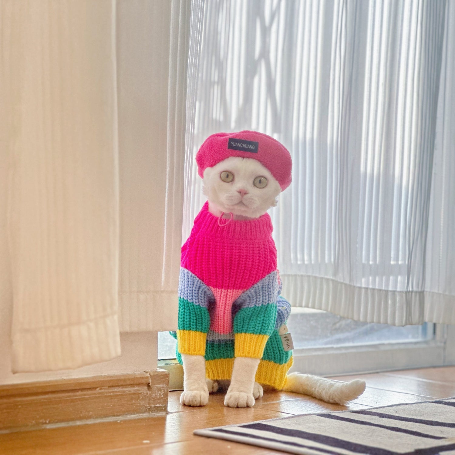Rainbow Knit Sweater Sphynx Cat Clothes