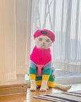 Sphynx Cat Rainbow Knit Sweater – Warm Pullover for Hairless Cats