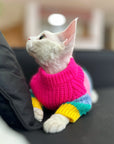 Sphynx Cat Rainbow Knit Sweater – Warm Pullover for Hairless Cats