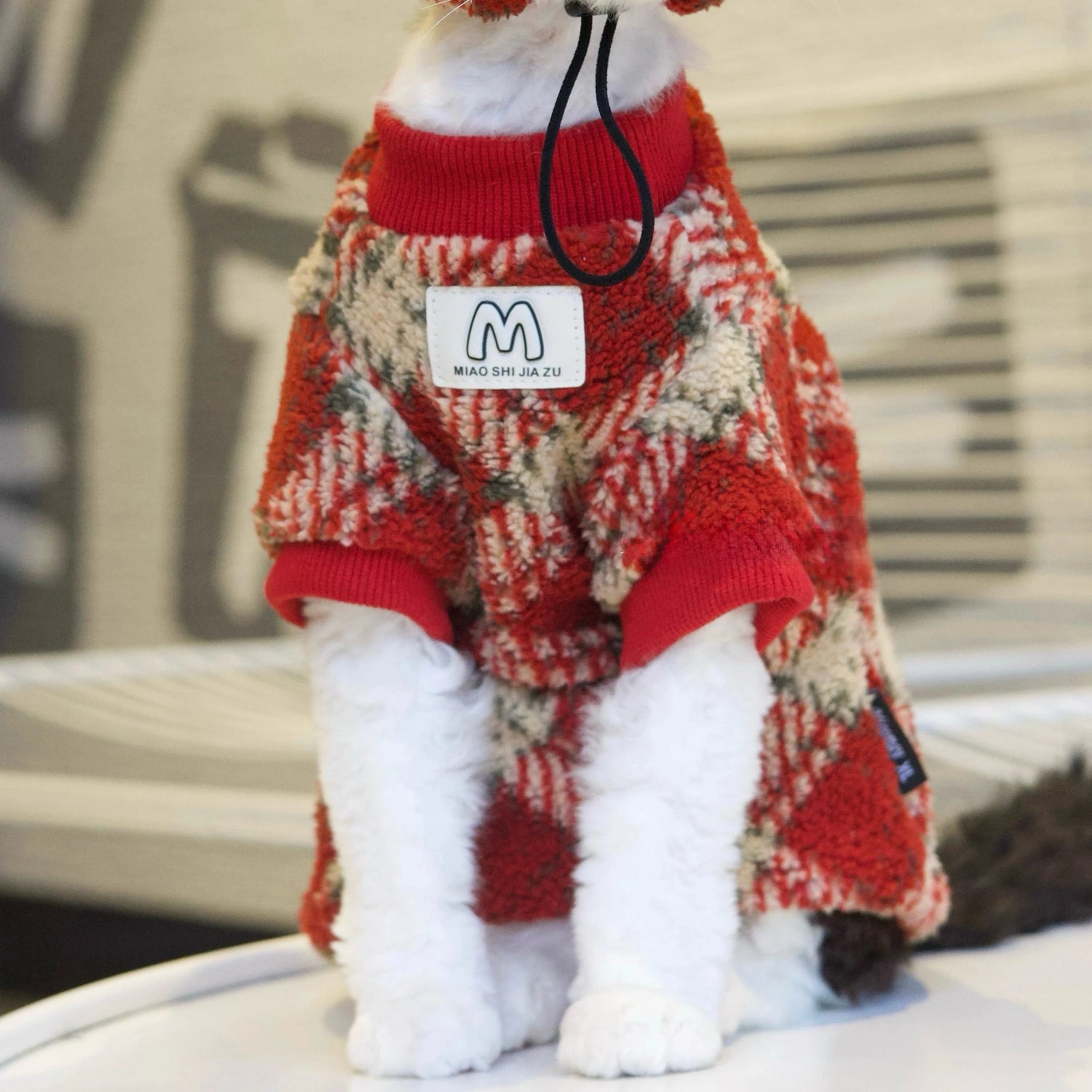 Red Plaid Set DevonRex Sphynx Cat Clothes