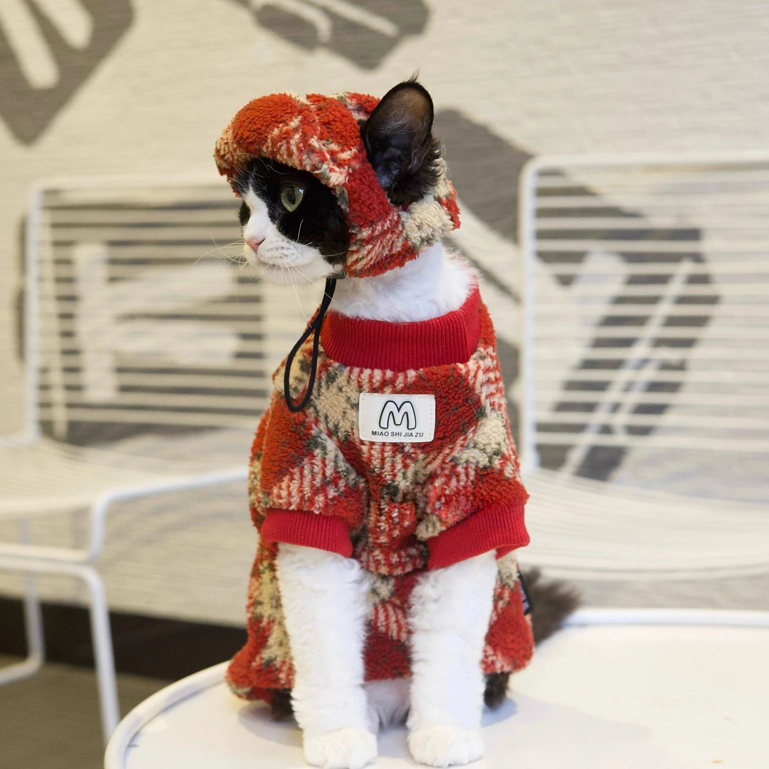 Red Plaid Set DevonRex Sphynx Cat Clothes