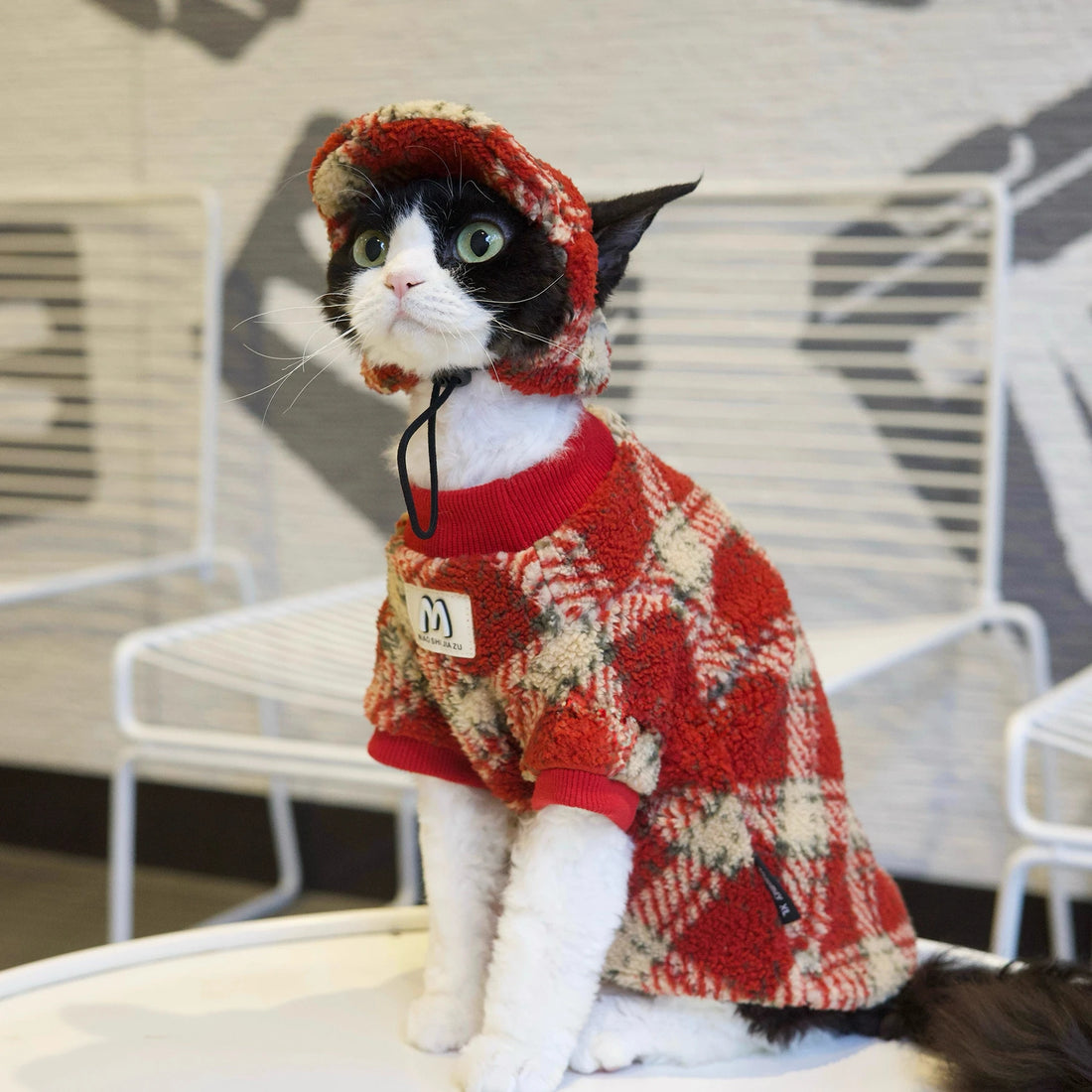 Red Plaid Set DevonRex Sphynx Cat Clothes