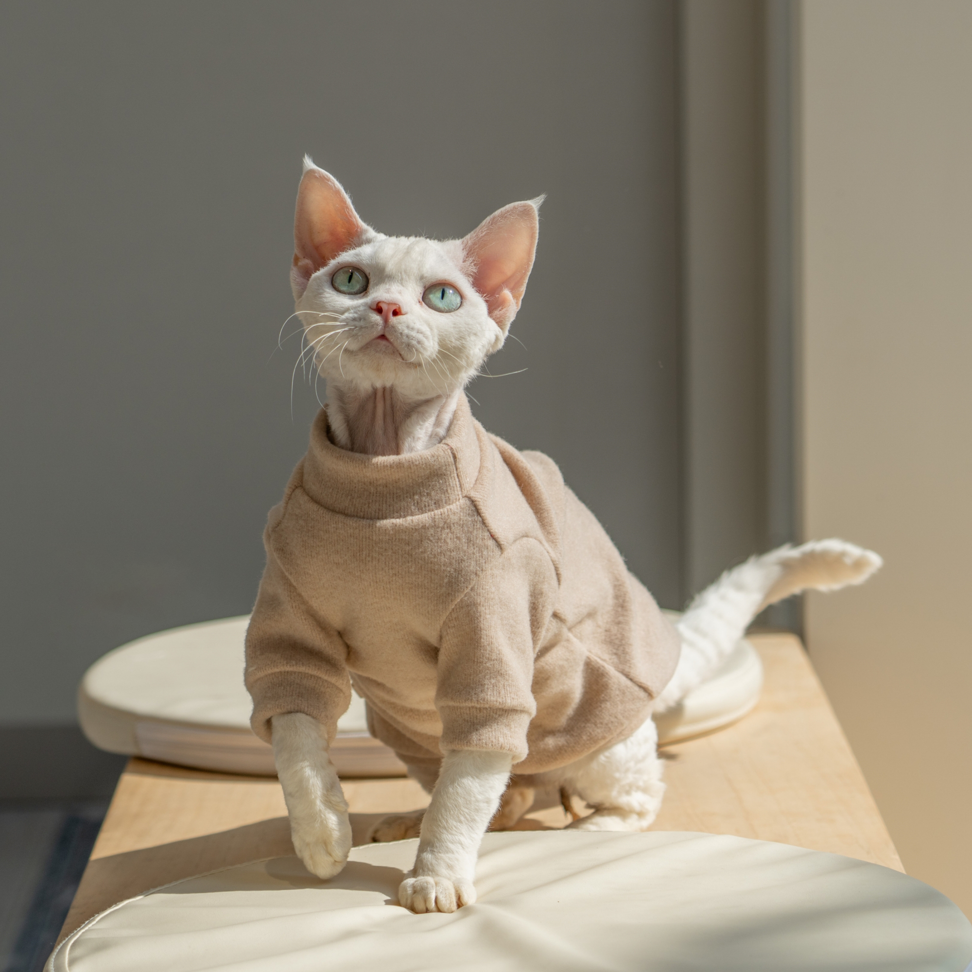 Snug-Cloak for Sphynx Cat Soft Warm Cat Clothing