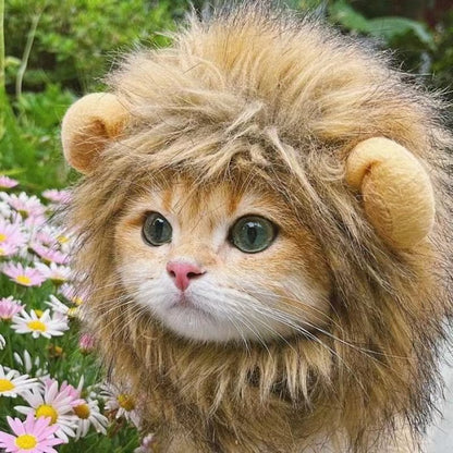 Lion Mane Wig Cat Costume