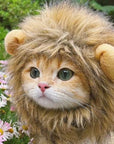 Lion Mane Wig Cat Costume