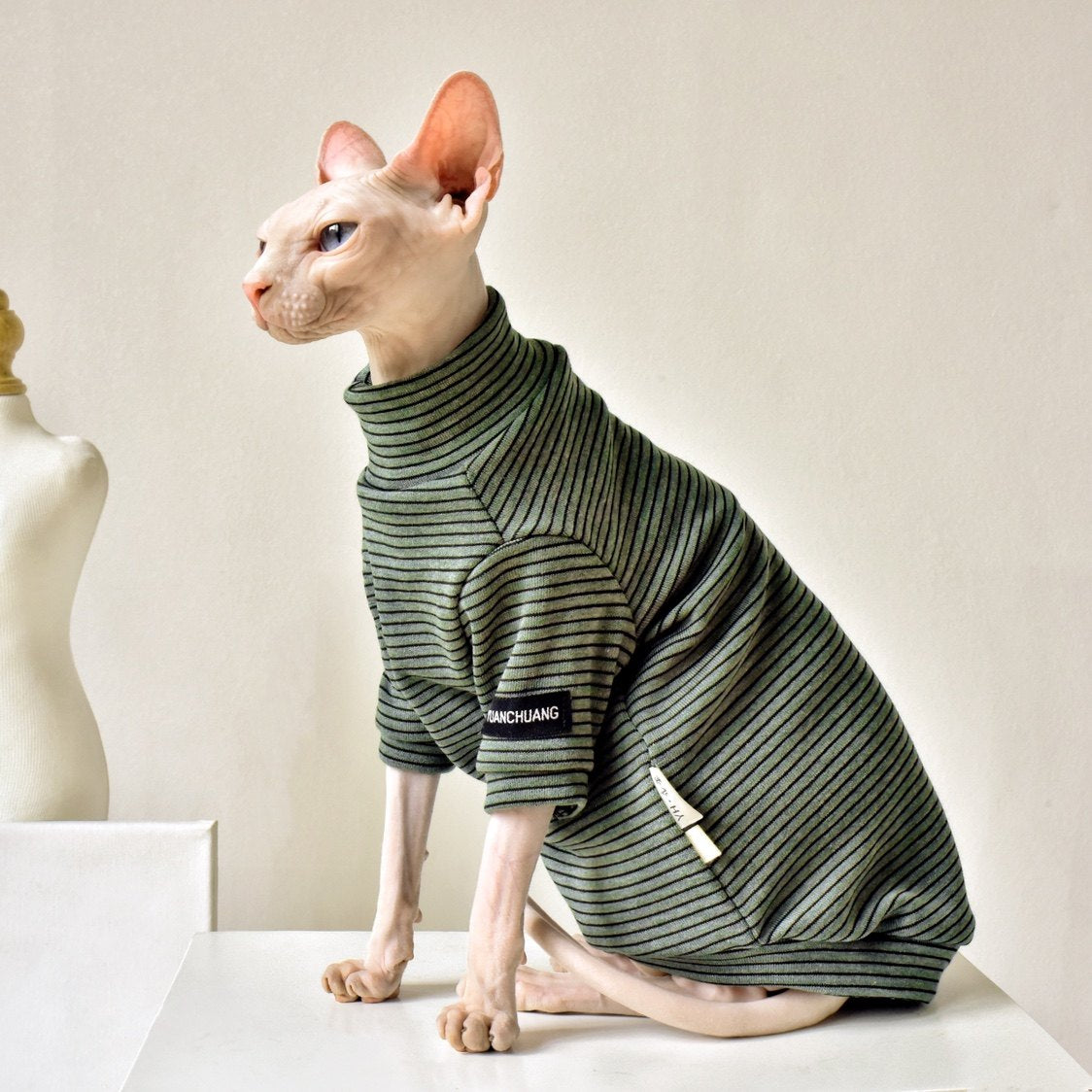 Stripe Turtleneck Shirt DevonRex Sphynx Cat Clothes
