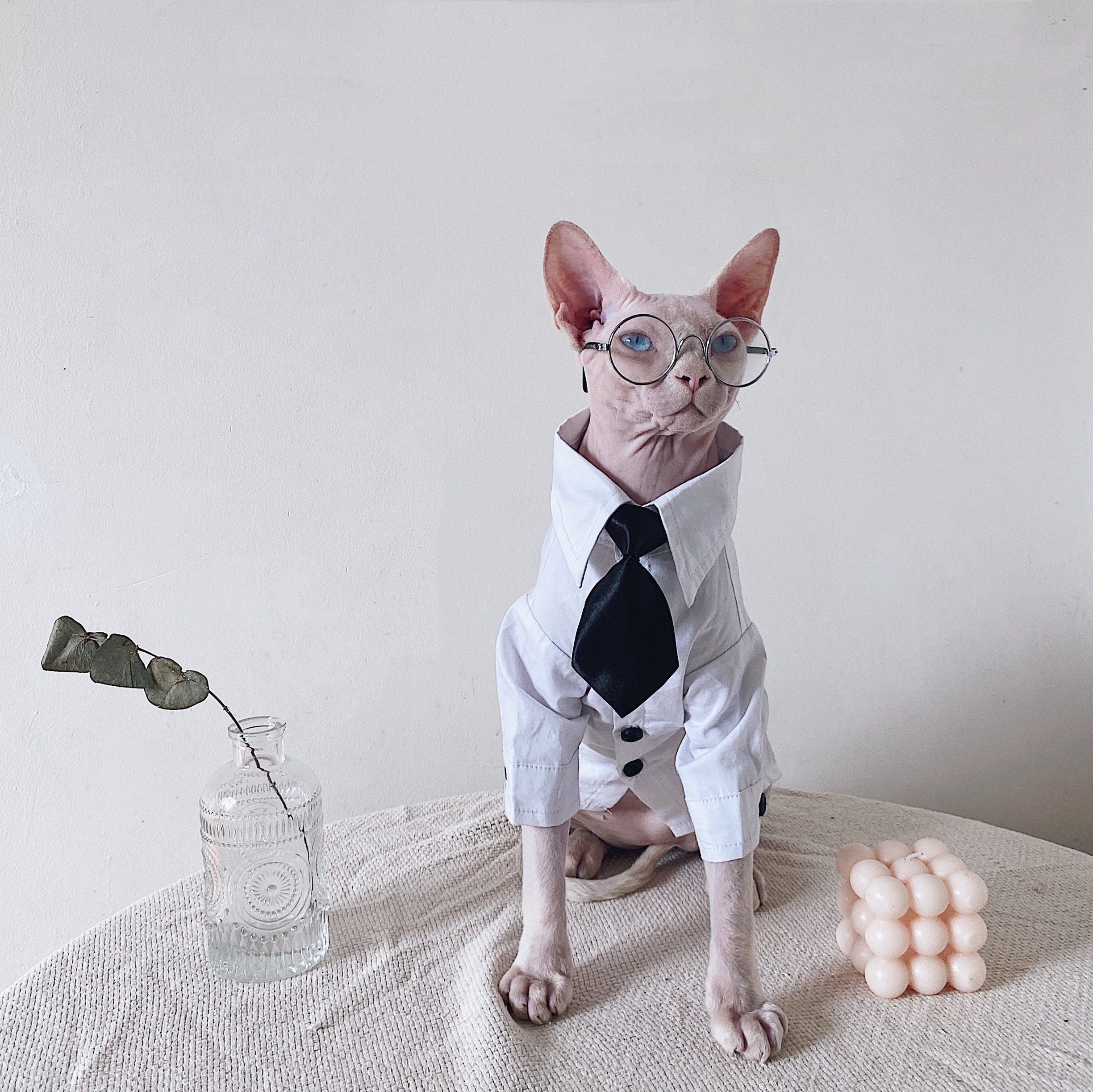 Tweed Three-Piece Suit for SphynxCat