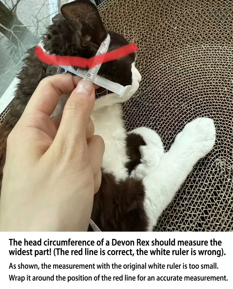 Sphynx measurement diagram – Neck Girth, Chest Girth, Garment Length