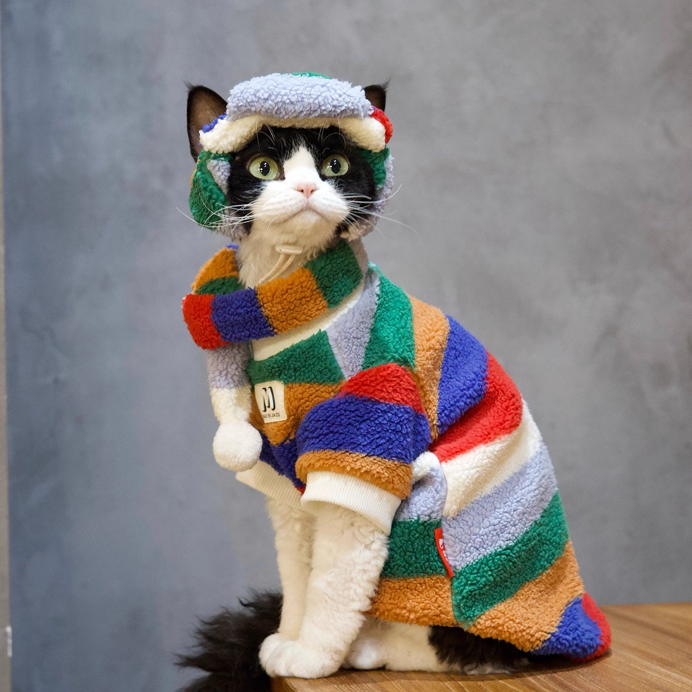 Shearling Rainbow Set DevonRex Sphynx Cat Clothes