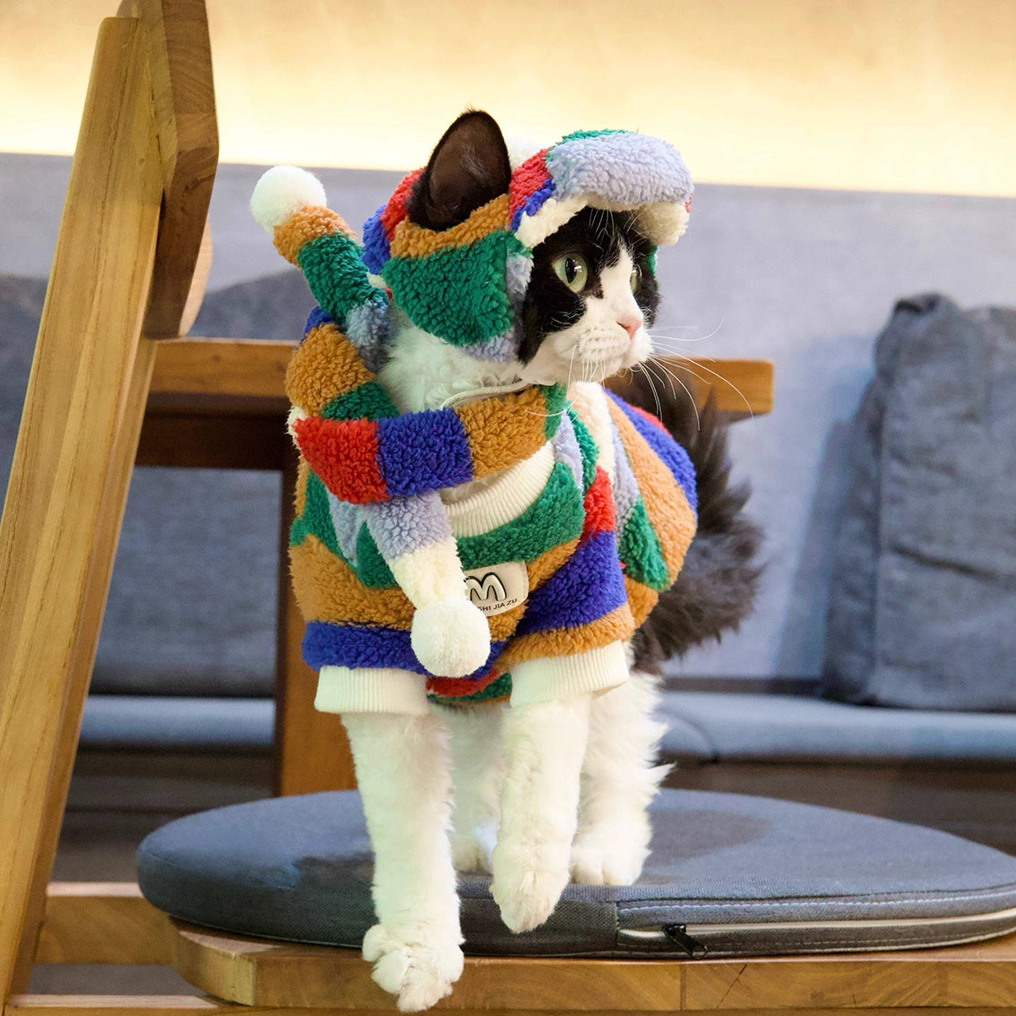 Sphynx Cat Shearling Set – Rainbow Fleece Top &amp; Hat