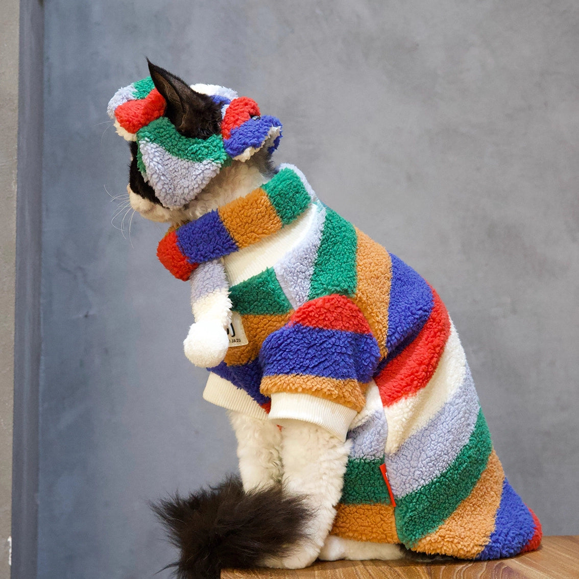 Sphynx Cat Shearling Set – Rainbow Fleece Top &amp; Hat