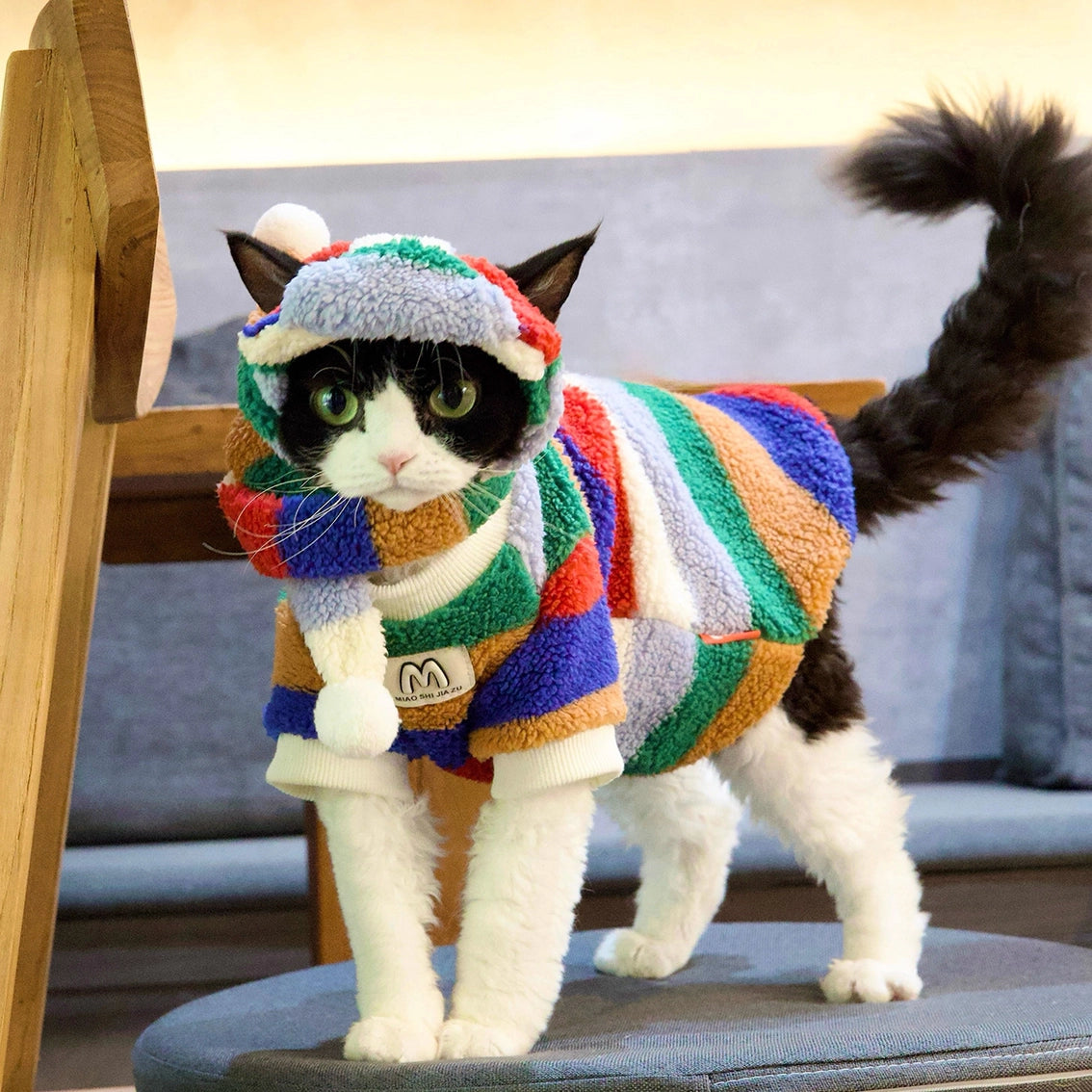 Sphynx Cat Shearling Set – Rainbow Fleece Top &amp; Hat