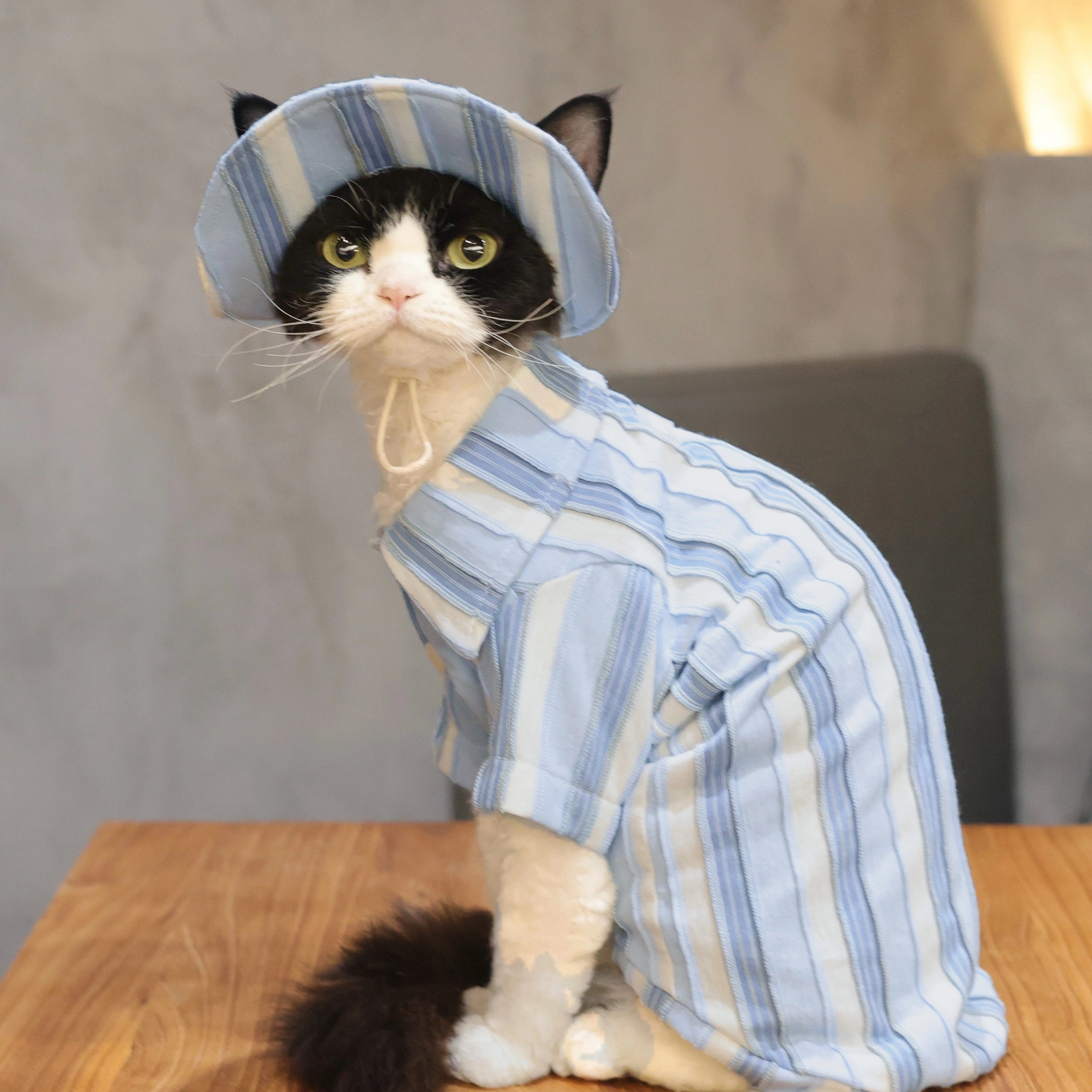 Sky Blue Striped Cotton Tee + Hat – Devon/Sphynx Cat Clothes