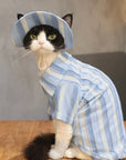 Sphynx Cat Outfit Set – Sky Blue Stripe Tee & Hat