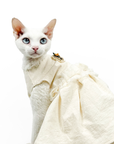 Elegant White Cotton Dress For Cats