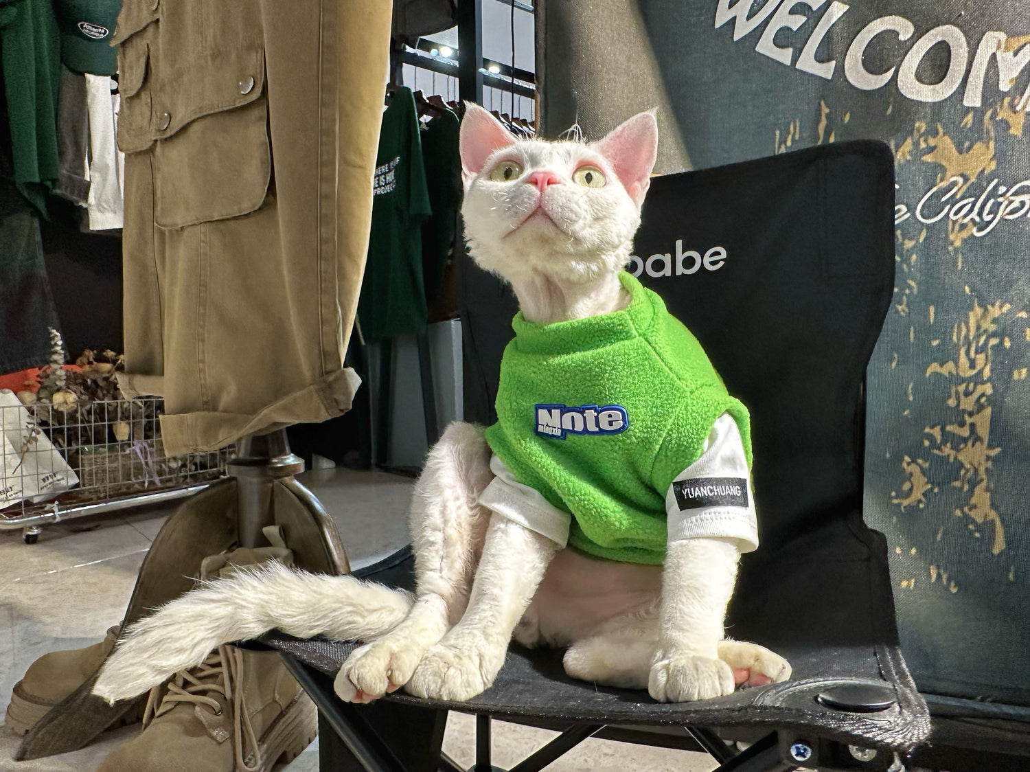 The 2-in-1 Polar Fleece Shirt Cat Clothes