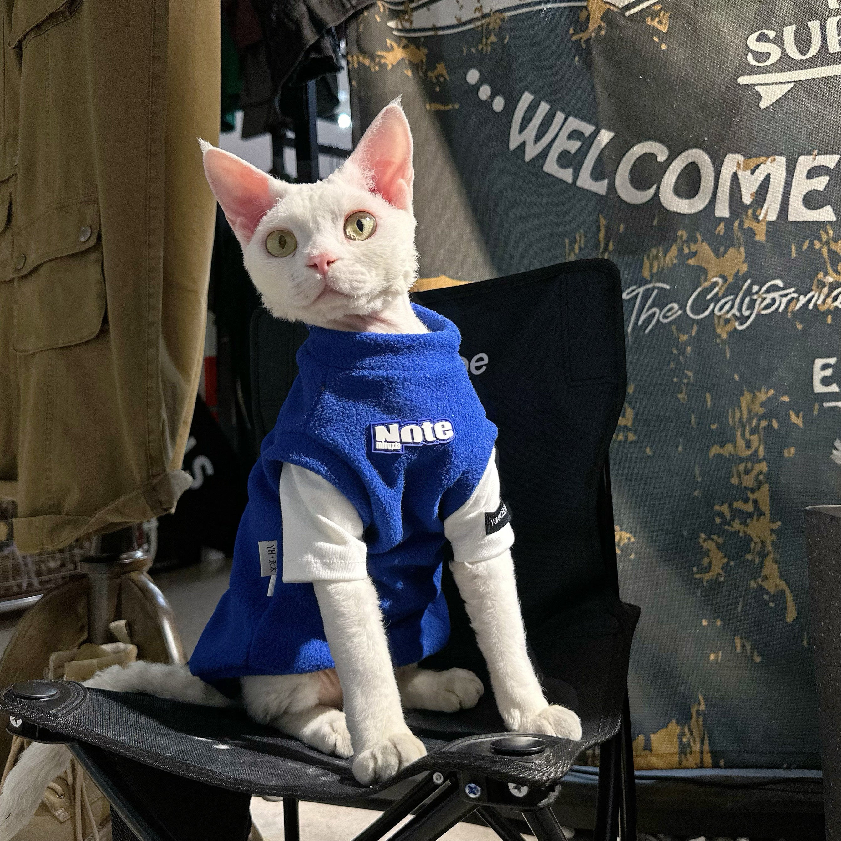 The 2-in-1 Polar Fleece Shirt Cat Clothes