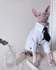 Three-piece suit for SphynxCat