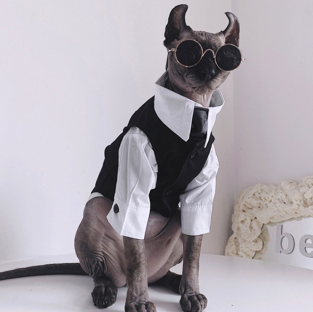Three-piece suit for SphynxCat