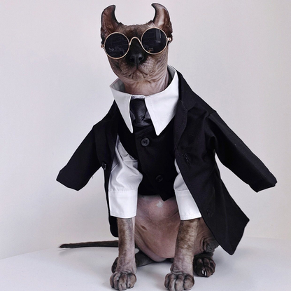 Three-piece suit for SphynxCat