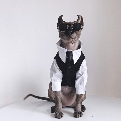 Three-piece suit for SphynxCat