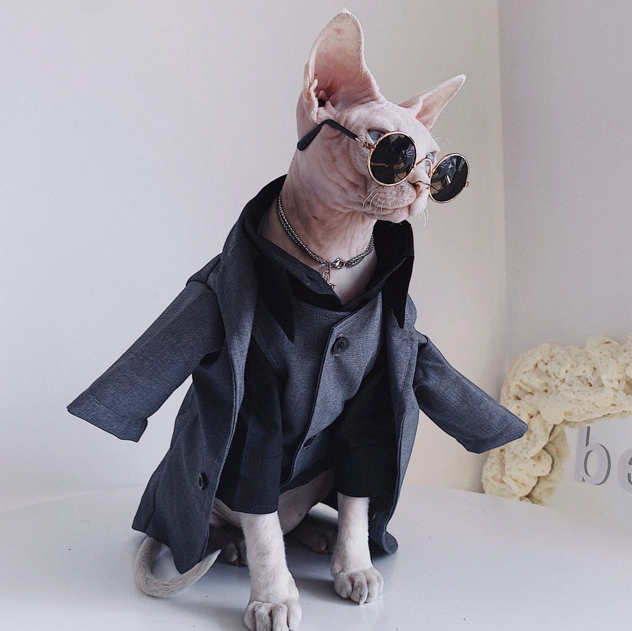 Three-piece suit for SphynxCat