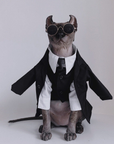 Three-piece suit for SphynxCat